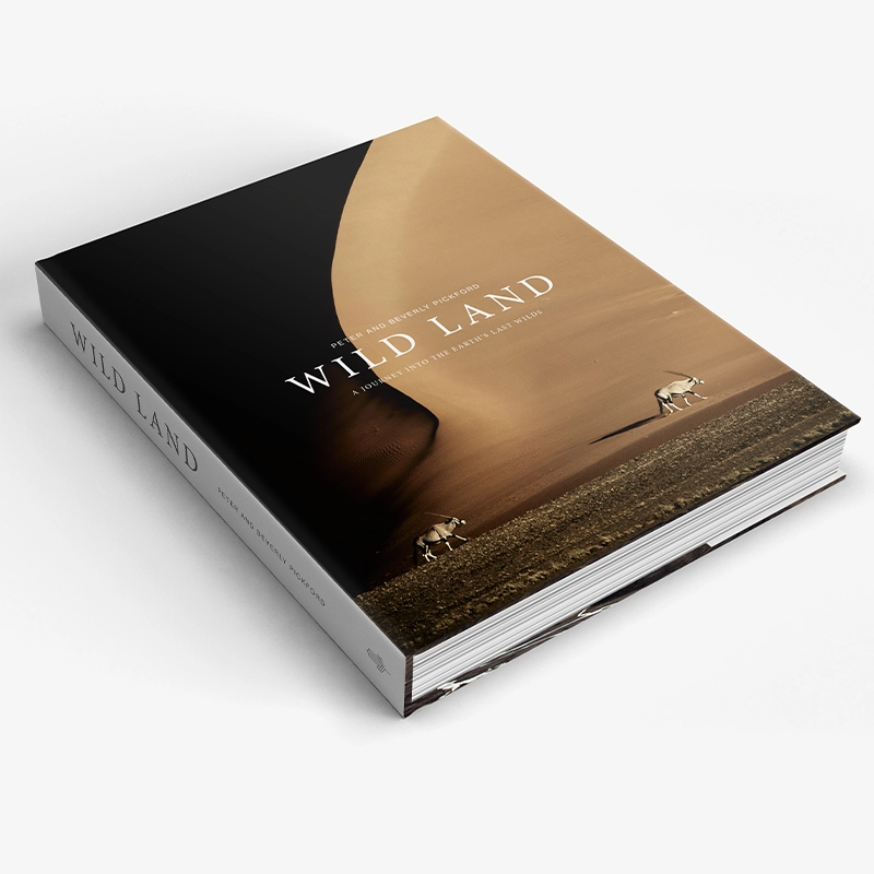 Perfect Hideaways a hardcover book titled Wild Land featuring a striking photograph of a desert dune fading from deep shadow into warm golden sand, with two small oryx walking across the barren landscape below perfecthideawaysshop