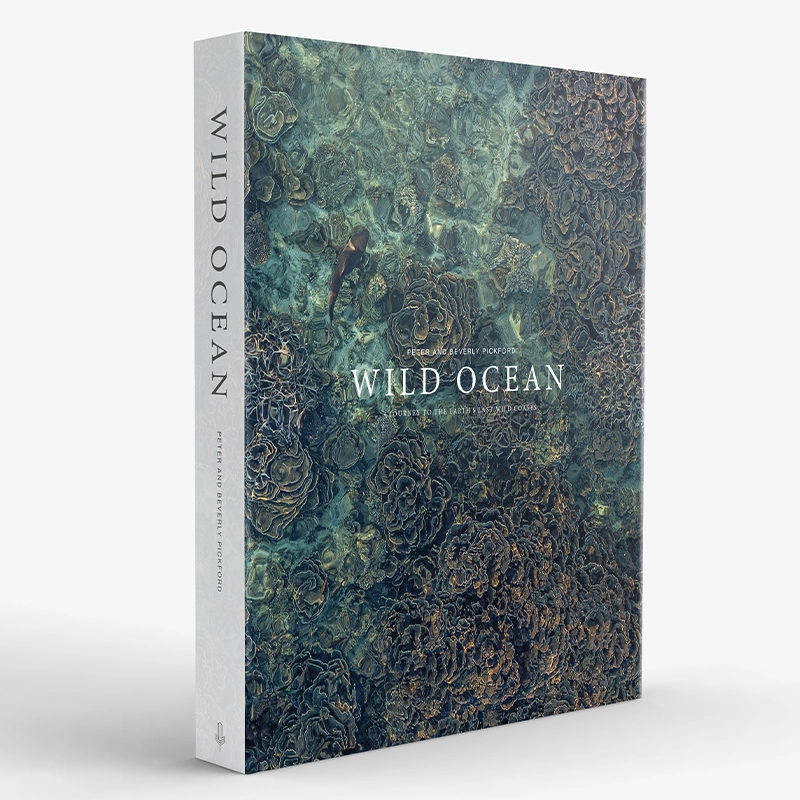 Perfect Hideaways a hardcover book titled Wild Ocean featuring an aerial-style cover photograph of textured, swirling ocean coral formations in deep greens and browns perfecthideawaysshop