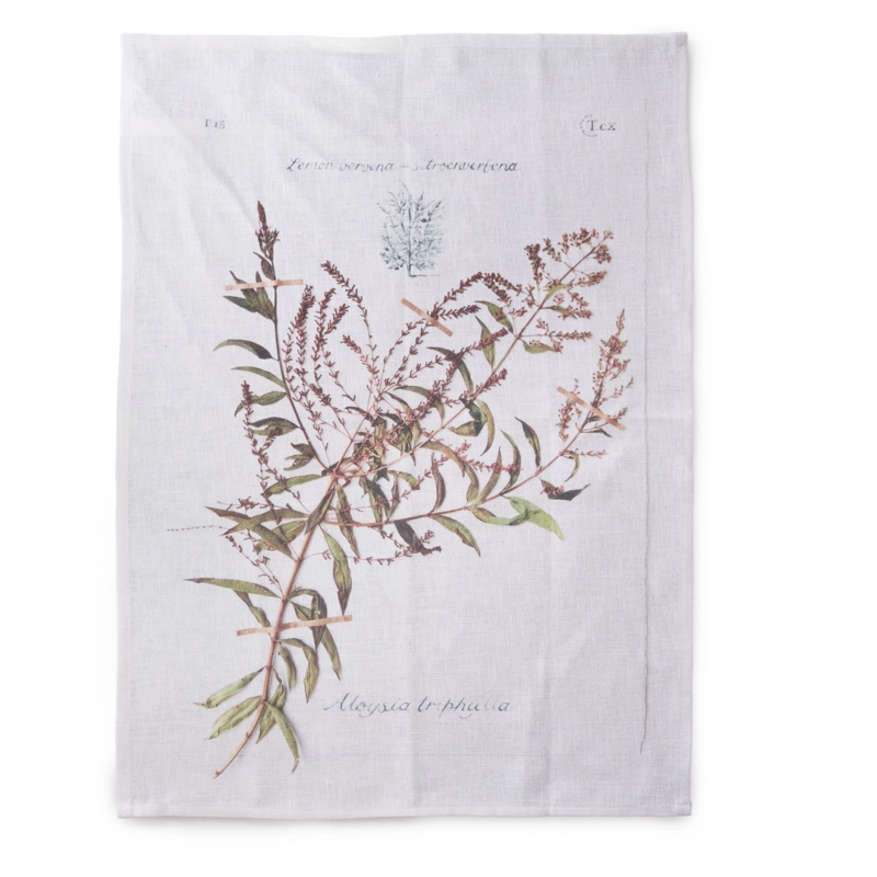 Perfect Hideaways botanical-style linen tea towel featuring an illustrated sprig of lemon verbena with delicate green leaves and soft brown blossoms, printed on a white fabric background, styled flat for display. Perfect hideaways shop