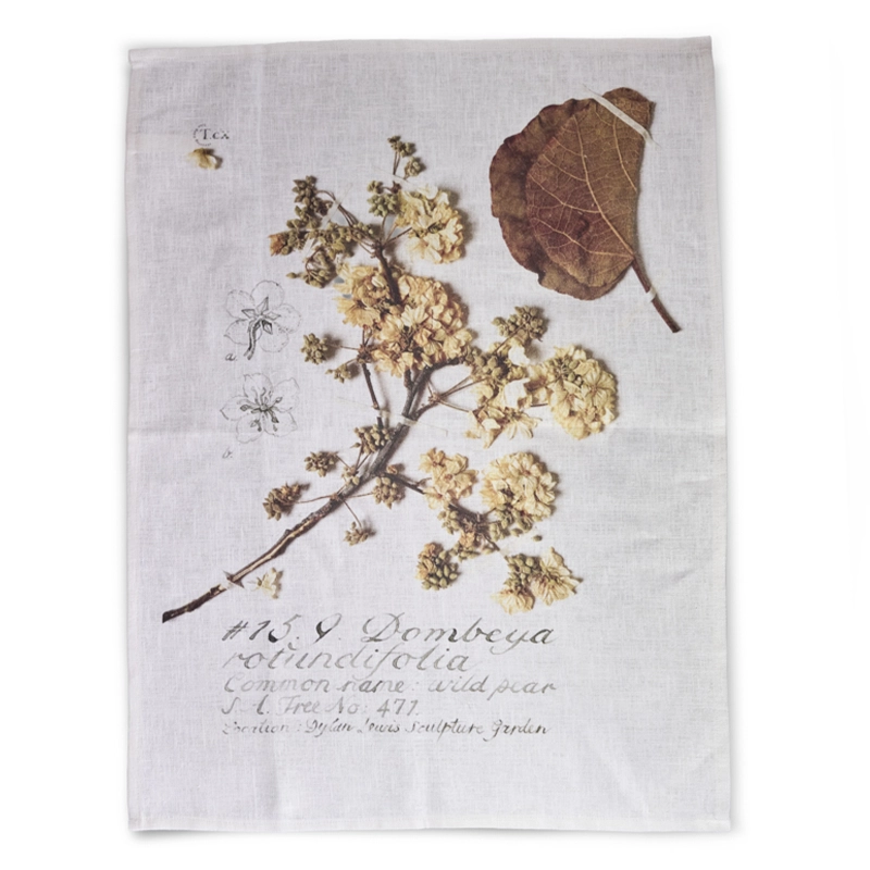 Perfect Hideaways elegant linen tea towel featuring a botanical print of pressed Dombeya rotundifolia, also known as the wild pear, with detailed illustrations and handwritten notes — a nature-inspired kitchen accent. Perfect hideaways shop